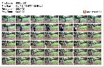 t20892 9ecd702e991ae1ef5e291e5a9b3a815b5d0e52e197 jpeg