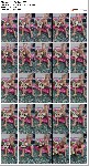 t6414 a720030de6c0dd9451d38747e089aa9ce4de1c32ec jpeg