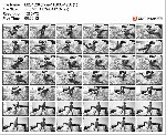 t15303 eaf153c40ce9b38283354ec722d9bfb589d9cda9c1 jpeg