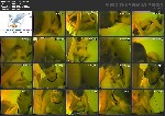 t12168 2d2cb0be58069f3f51afa96e26d5d8064d8d83b390 jpeg
