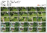 t9829 5dfee81130265b31cc34c37c20fcfd6128fbf1ef81 jpeg