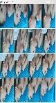 t1813 d0acbbb875422b4d25dd42de449f276809dee4cbe3 jpeg