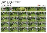 t9829 ba87760d16fa61f3c076987a1135b12e3e56344806 jpeg