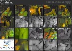 t12168 13dce2966b3de61df322ebceb17621b79a0bd8412c jpeg
