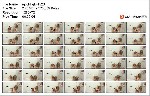 t21204 0a87f862635d64b8e61fc1ca203e72ce9c6d45914c jpeg