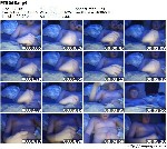 t21822 6eebb1691324af4e19e9a44f32d58f256897eaced4 jpeg