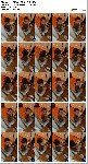 t12108 db63736c72d22c45f929a6248183da9d25289cbf8e jpeg