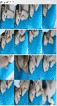 t1813 25c7a228b7d288ce014d32e496095b21066be8b822 jpeg