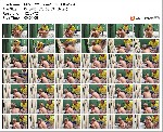 t15303 9d8d25313a063a848614eb19c3ca85008c22308b2f jpeg