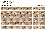 t21204 613843e0d41620e54a7d94281bd77c4ff46601426b jpeg