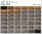 t10260 82910e990d1a24a1083f9f7fb62f33a5da3936c664 jpeg