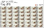 t21204 af2f9d94371f5d44fc80ed972d85a76271a4714546 jpeg