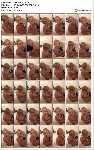 t21204 c9e359b152bb2bbc36495dcdf53a34ee9b4814eb4e jpeg